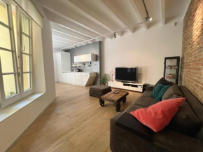 Konventna apartment in city heart, designed, spacious